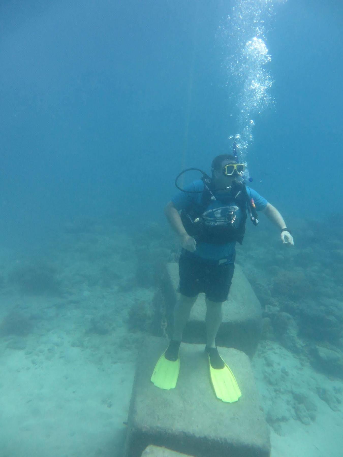 A Pousada Reef Backpackers Cairns Exterior foto